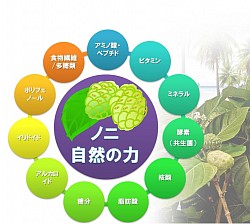 ホールフード　バランス良い成分