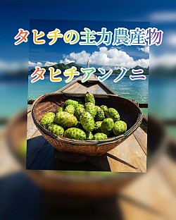 タヒチアンノニを扱うパイオニア